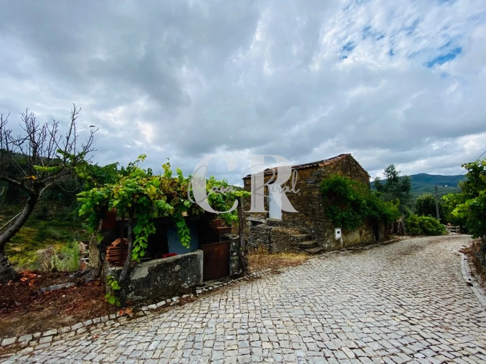 Moradia T1 para Venda em Figueiró dos Vinhos e Bairradas Foto 1