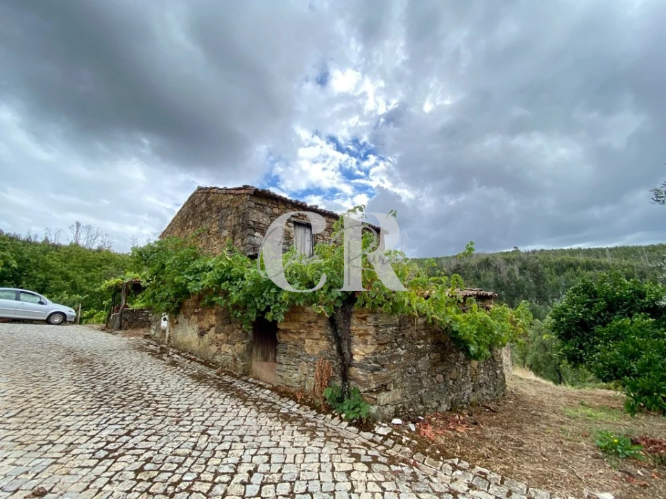 Moradia T1 para Venda em Figueiró dos Vinhos e Bairradas Foto 4