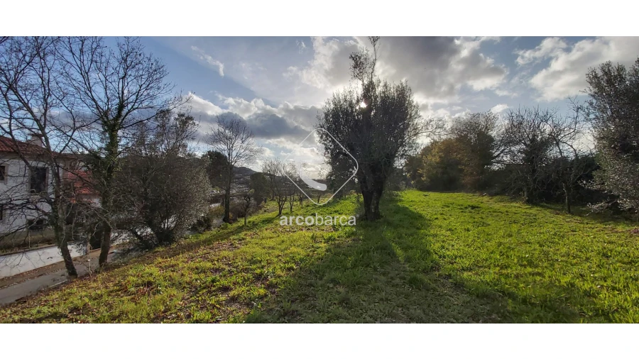 Terreno para Venda em Arca e Ponte de Lima Foto 8