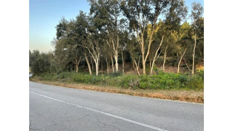Terreno para Venda em Sé Nova, Santa Cruz, Almedina e São Bartolomeu
