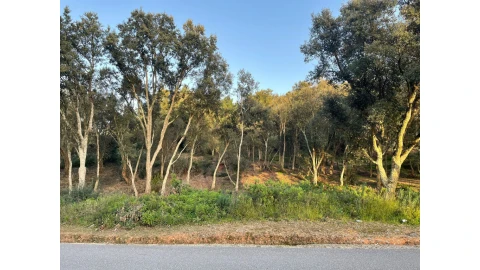 Terreno para Venda em Sé Nova, Santa Cruz, Almedina e São Bartolomeu