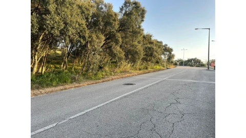 Terreno para Venda em Sé Nova, Santa Cruz, Almedina e São Bartolomeu