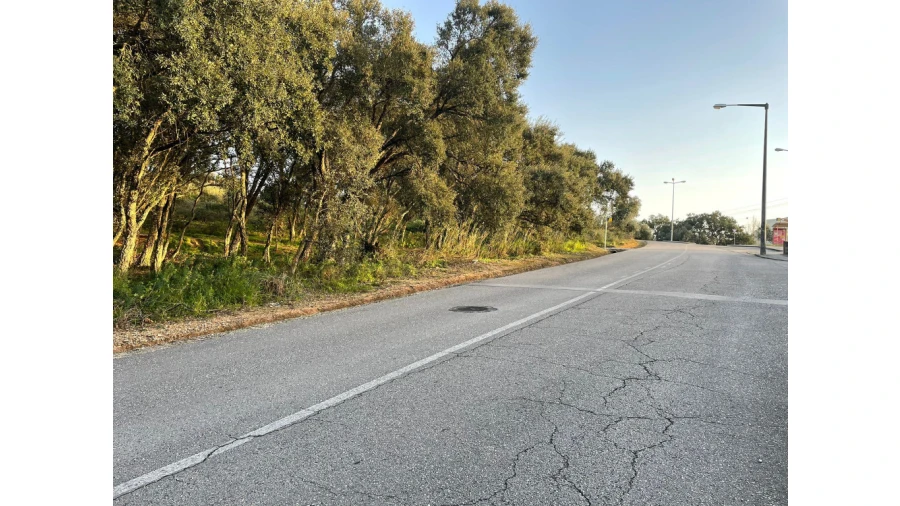 Terreno para Venda em Sé Nova, Santa Cruz, Almedina e São Bartolomeu Foto 3
