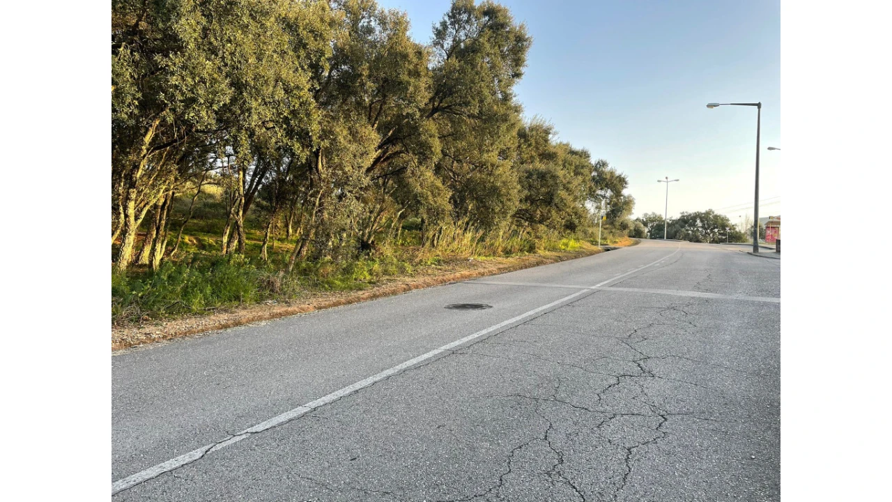 Terreno para Venda em Sé Nova, Santa Cruz, Almedina e São Bartolomeu Foto 3