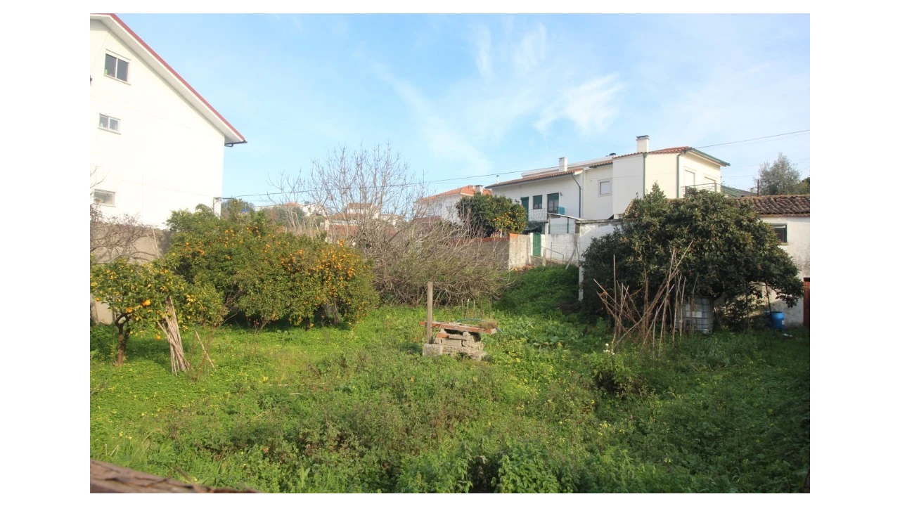 Terreno para Venda em São Martinho de Árvore e Lamarosa Foto 1