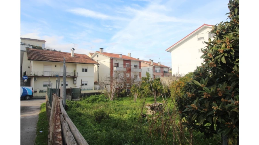 Terreno para Venda em São Martinho de Árvore e Lamarosa Foto 2