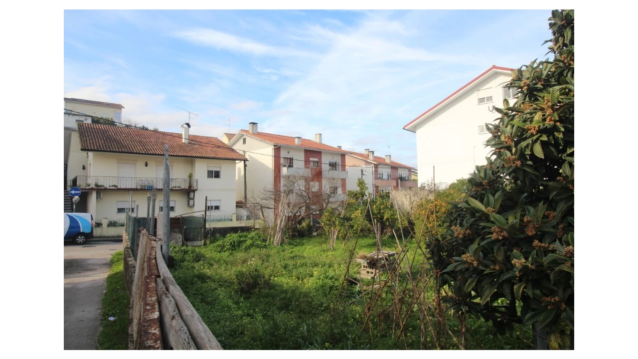 Terreno para Venda em São Martinho de Árvore e Lamarosa Foto 2