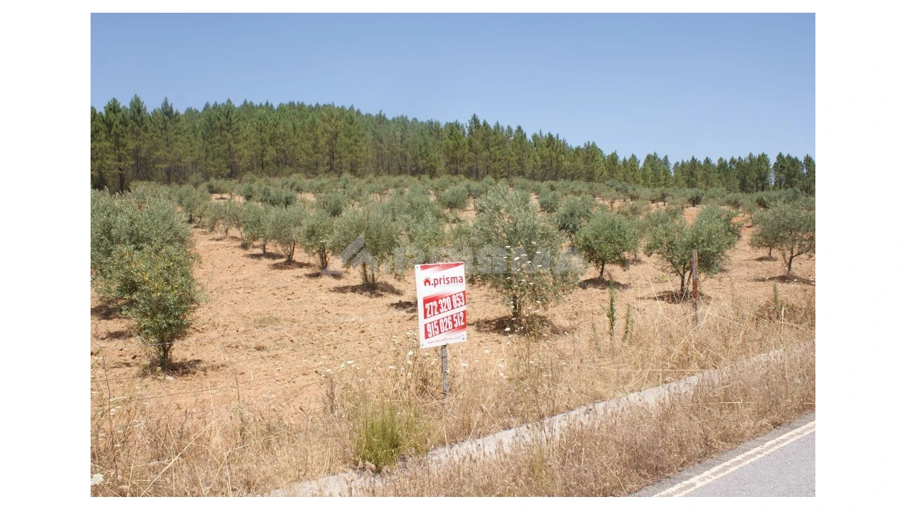 Terreno para Venda em Sarzedas Foto 1