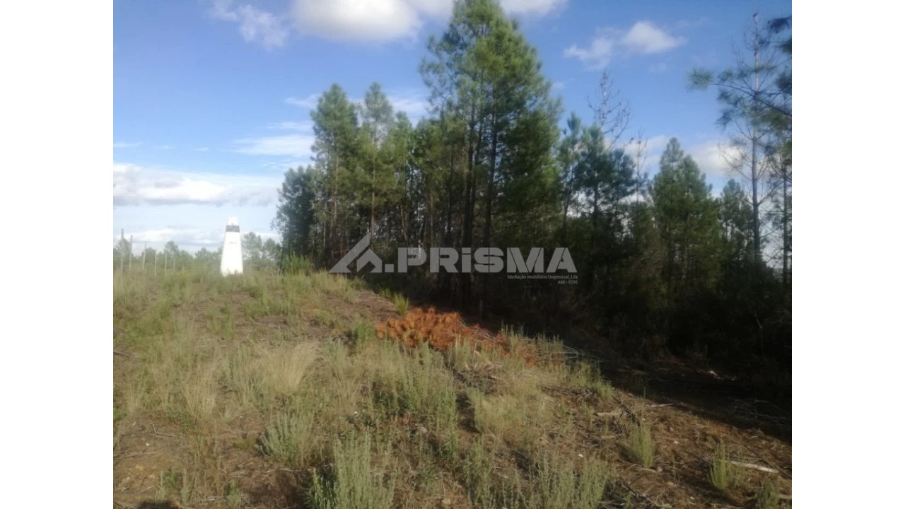 Terreno para Venda em Sarzedas Foto 29