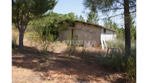 Terreno para Venda em Sarzedas