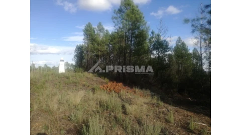 Terreno para Venda em Sarzedas