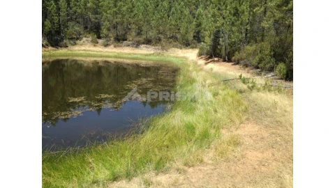 Terreno para Venda em Sarzedas