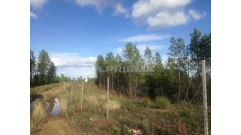 Terreno para Venda em Sarzedas