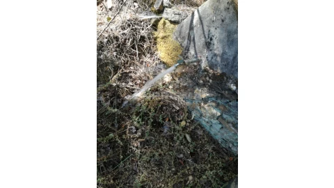 Terreno para Venda em Sarzedas