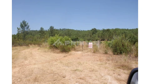 Terreno para Venda em Sarzedas