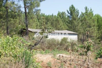 Terreno para Venda em Sarzedas