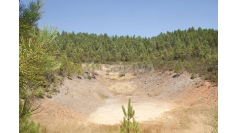 Terreno para Venda em Sarzedas