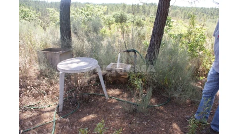 Terreno para Venda em Sarzedas