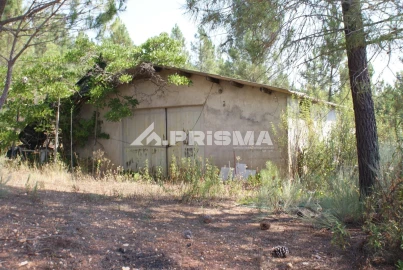 Terreno para Venda em Sarzedas