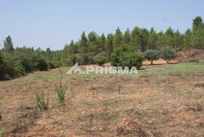 Terreno para Venda em Sarzedas