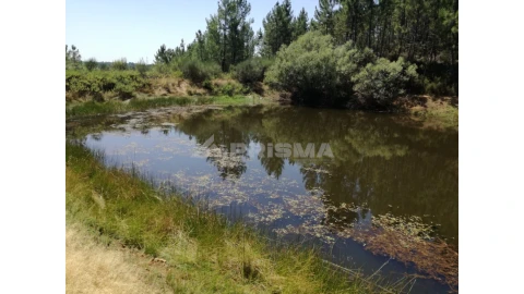 Terreno para Venda em Sarzedas
