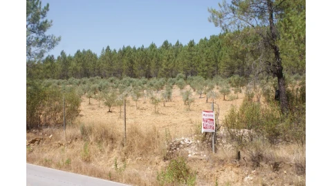 Terreno para Venda em Sarzedas