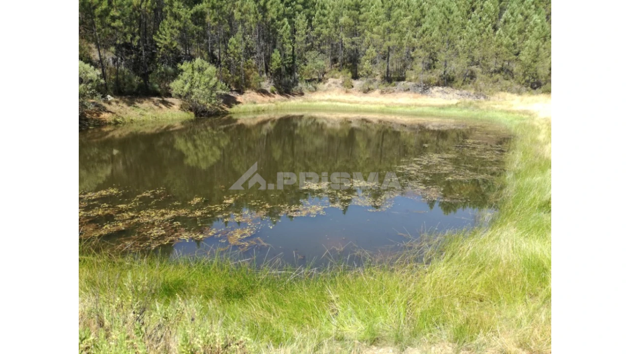 Terreno para Venda em Sarzedas Foto 21