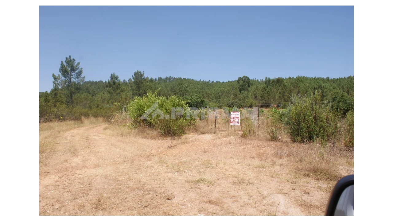 Terreno para Venda em Sarzedas Foto 2