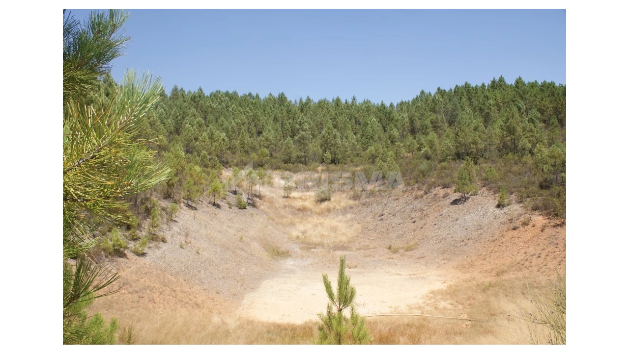 Terreno para Venda em Sarzedas Foto 19