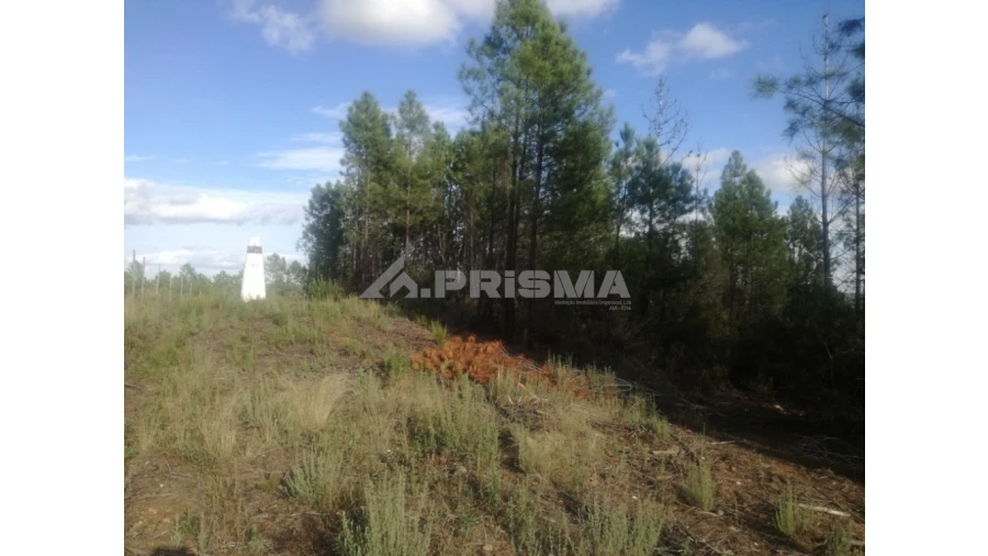 Terreno para Venda em Sarzedas Foto 29