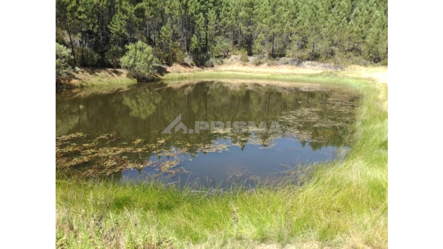 Terreno para Venda em Sarzedas Foto 21