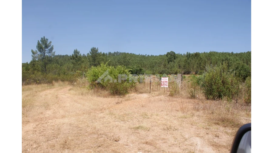 Terreno para Venda em Sarzedas Foto 2