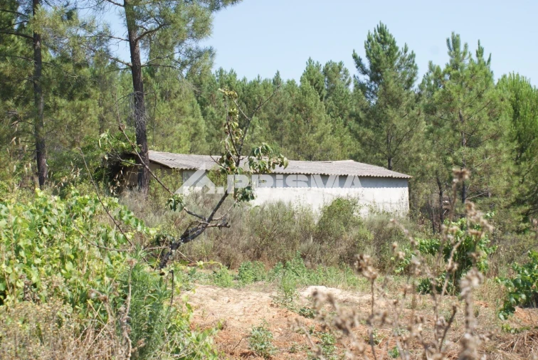 Terreno para Venda em Sarzedas Foto 35