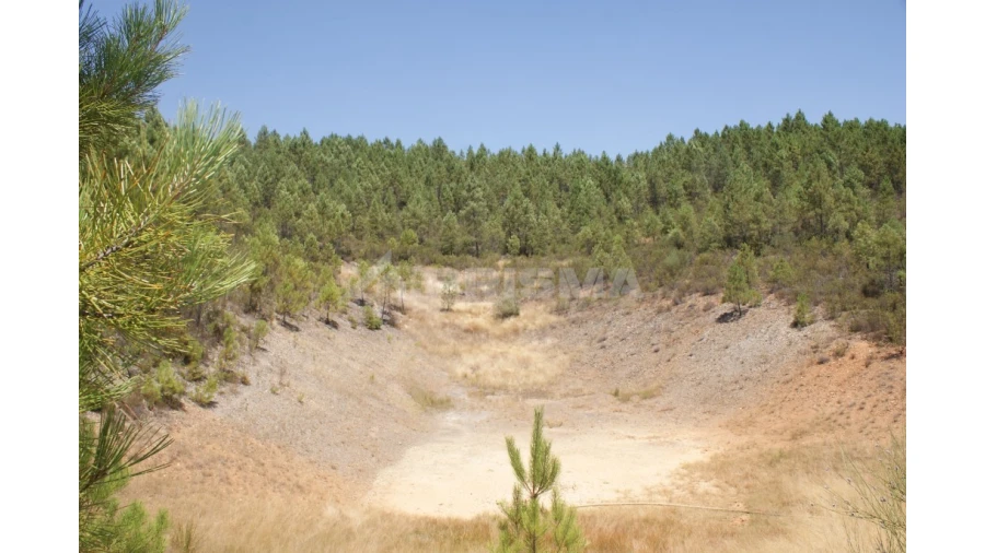 Terreno para Venda em Sarzedas Foto 19