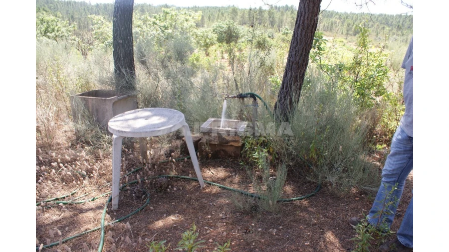 Terreno para Venda em Sarzedas Foto 15