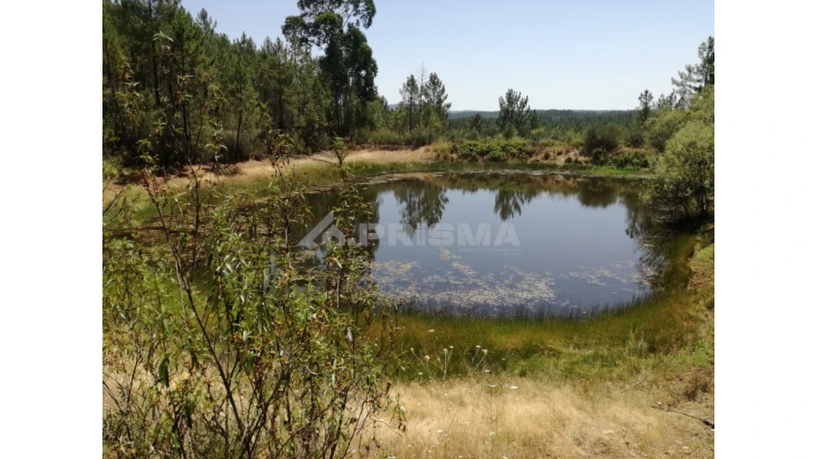 Terreno para Venda em Sarzedas Foto 26