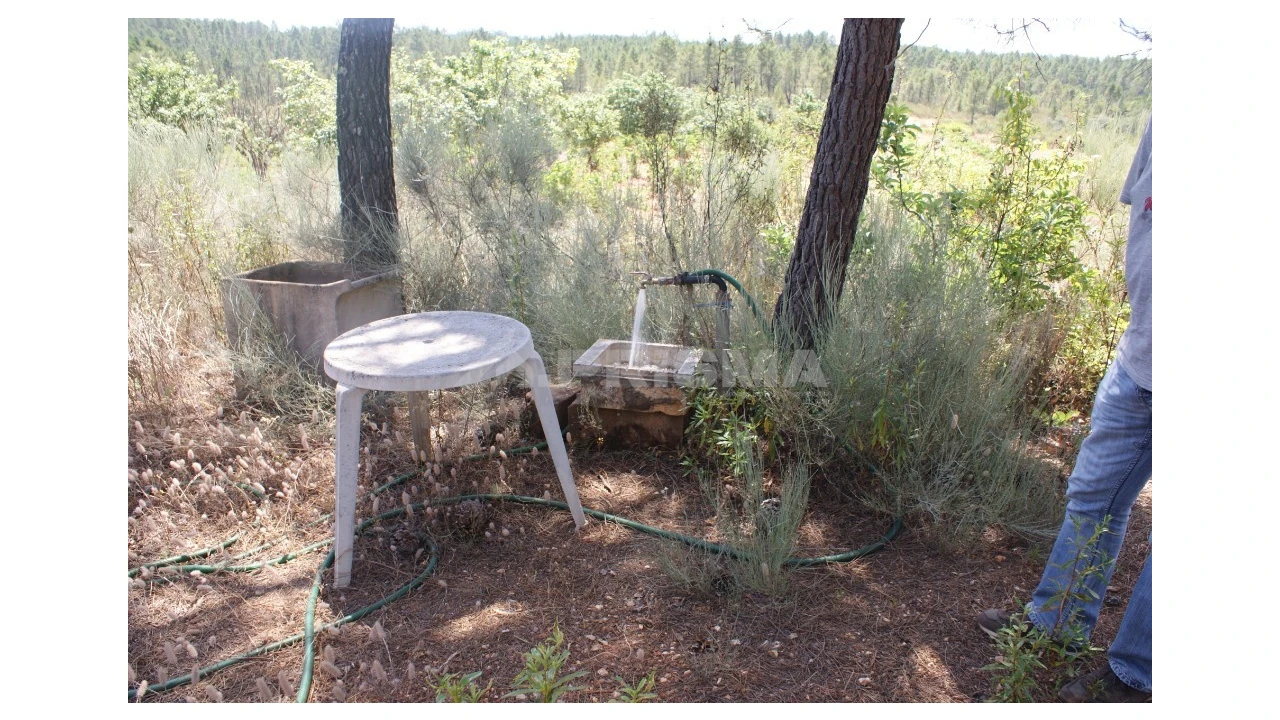 Terreno para Venda em Sarzedas Foto 15