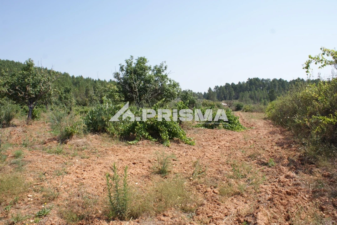 Terreno para Venda em Sarzedas Foto 30