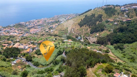 Terreno para Venda em Caniço