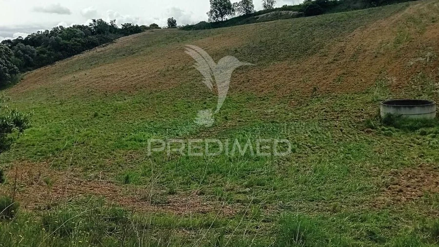 Terreno para Venda em Pernes