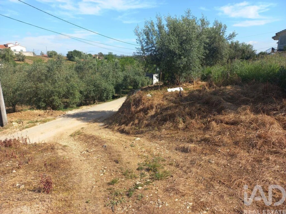 Terreno para Venda em Arrabal Foto 12