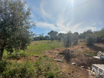Terreno para Venda em Arrabal