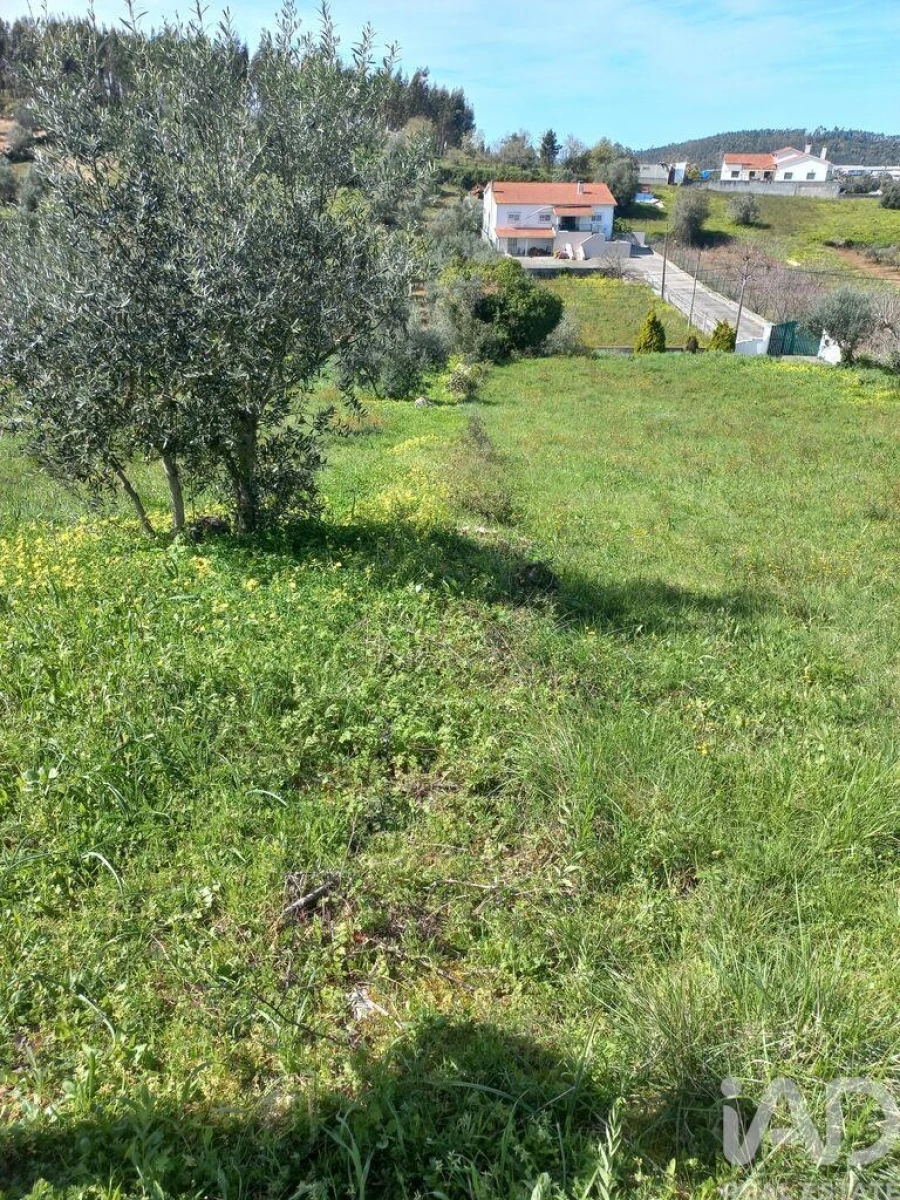 Terreno para Venda em Arrabal Foto 9
