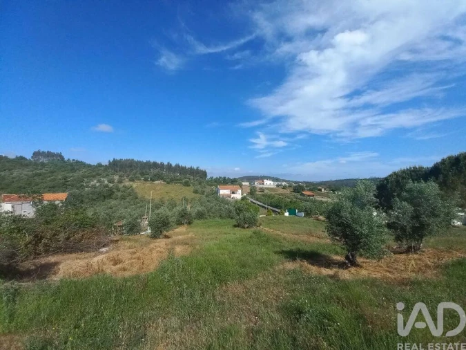 Terreno para Venda em Arrabal Foto 8