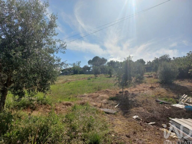Terreno para Venda em Arrabal Foto 11