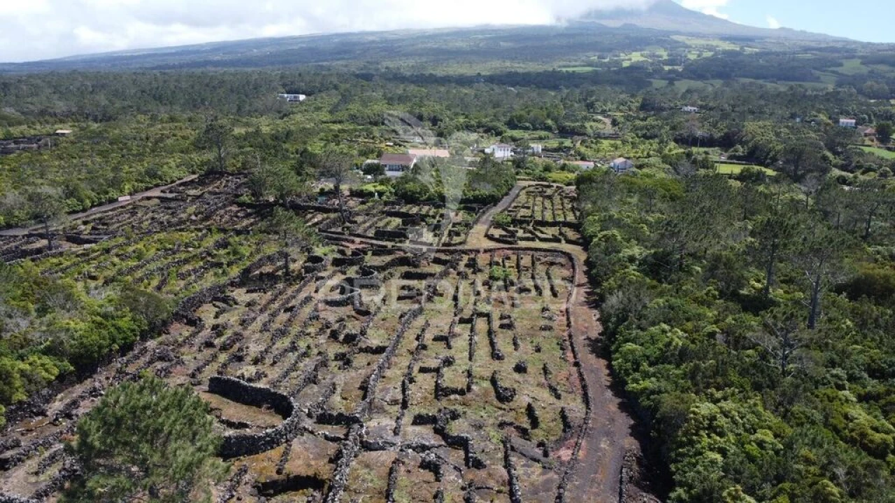 Terreno para Venda em Bandeiras Foto 7