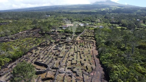 Terreno para Venda em Bandeiras