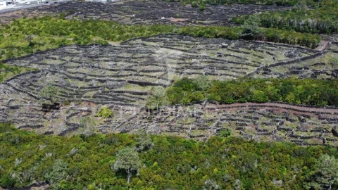 Terreno para Venda em Bandeiras