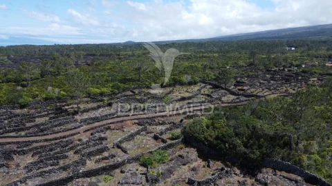 Terreno para Venda em Bandeiras