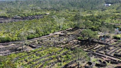 Terreno para Venda em Bandeiras